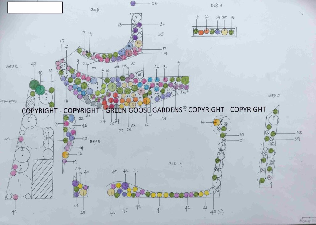Garden Design Example